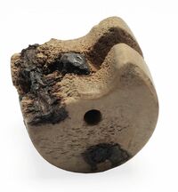 Crossbow nut 14th/15th century