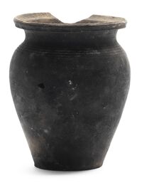 Cooking pot with leftovers, early 14th century AD